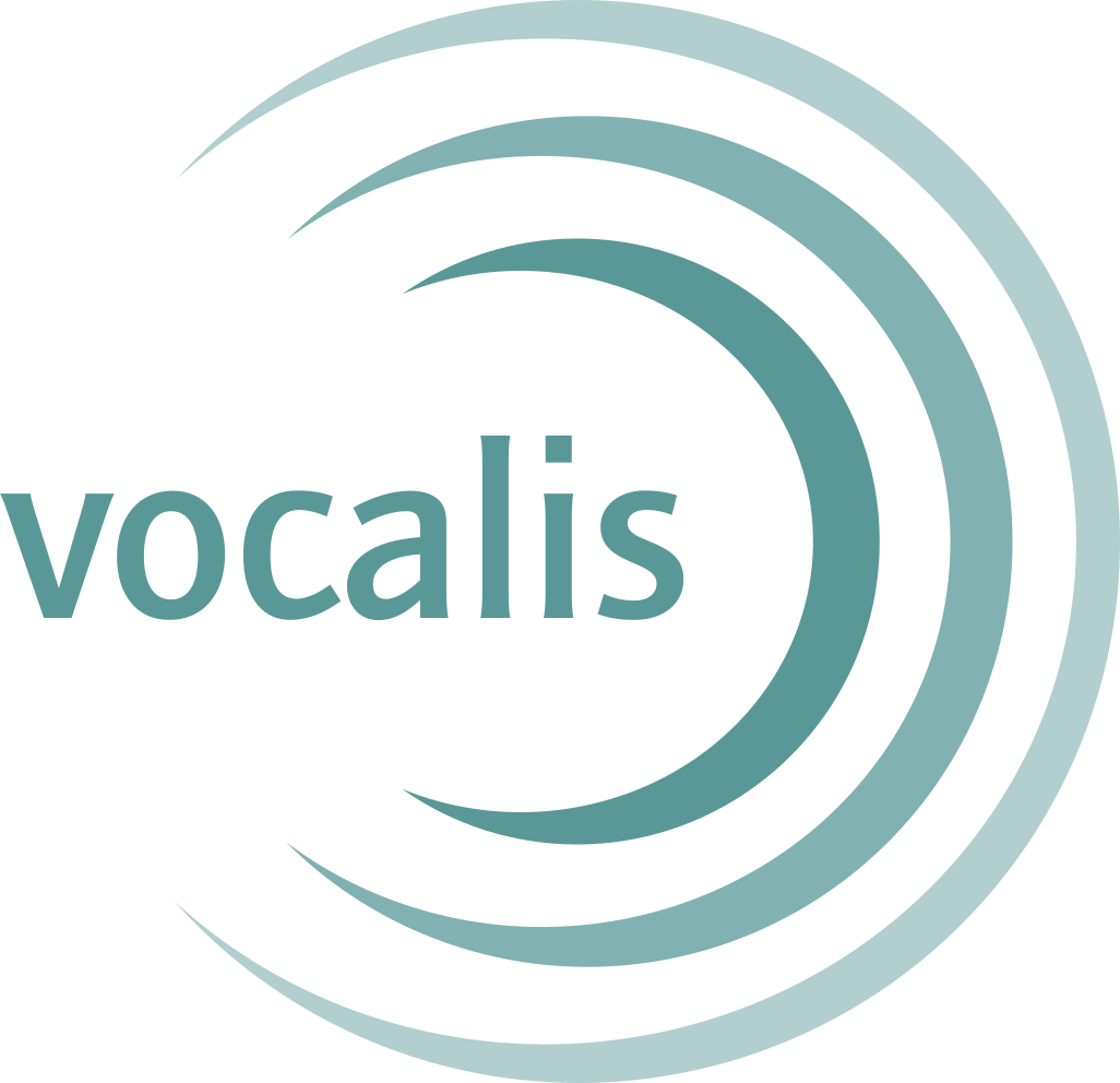 Endversion volcalis logo